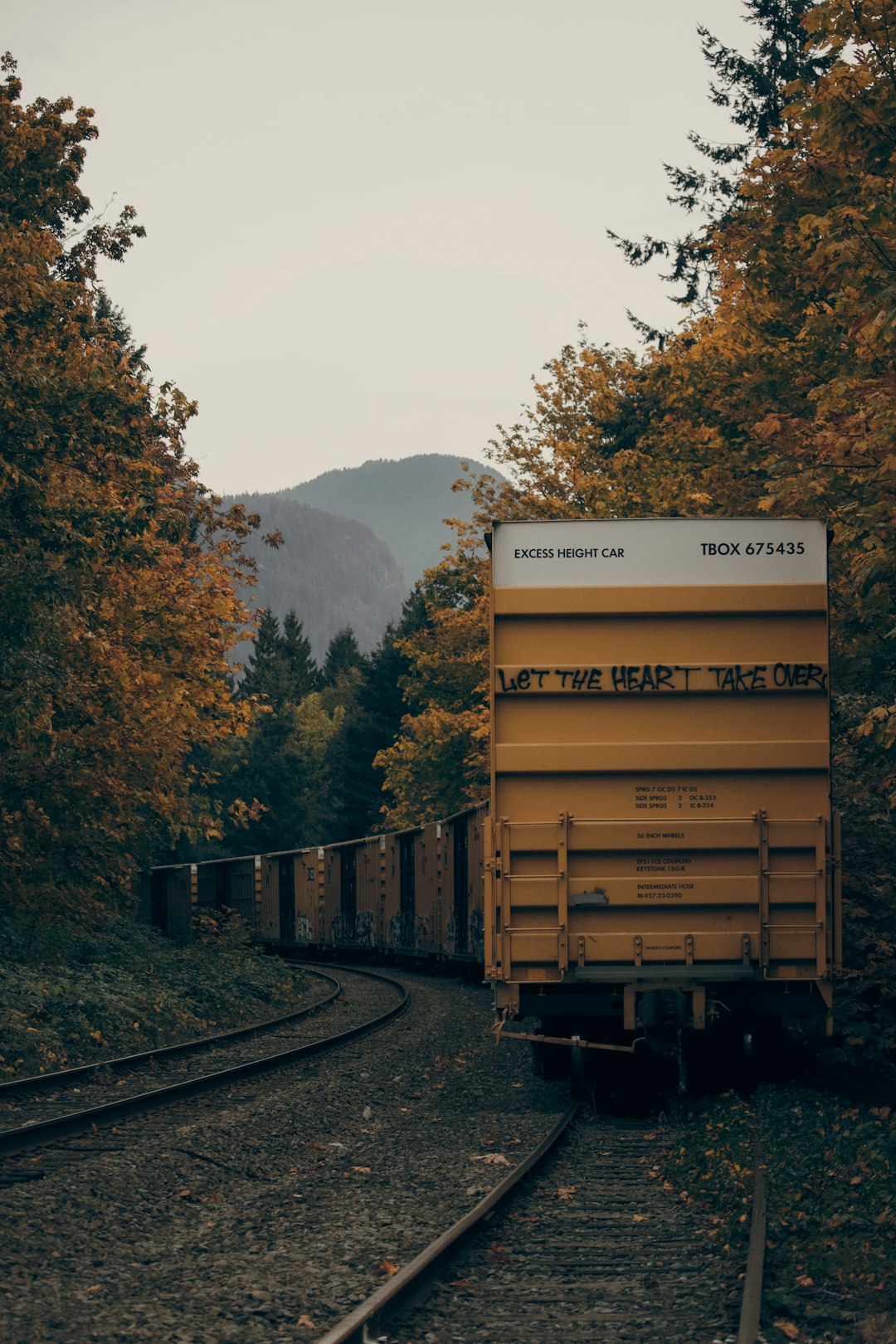 Logistics Solutions